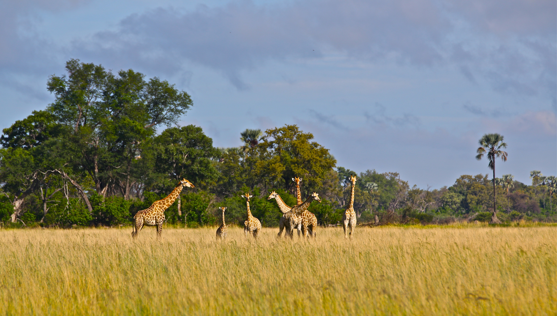 Botswana