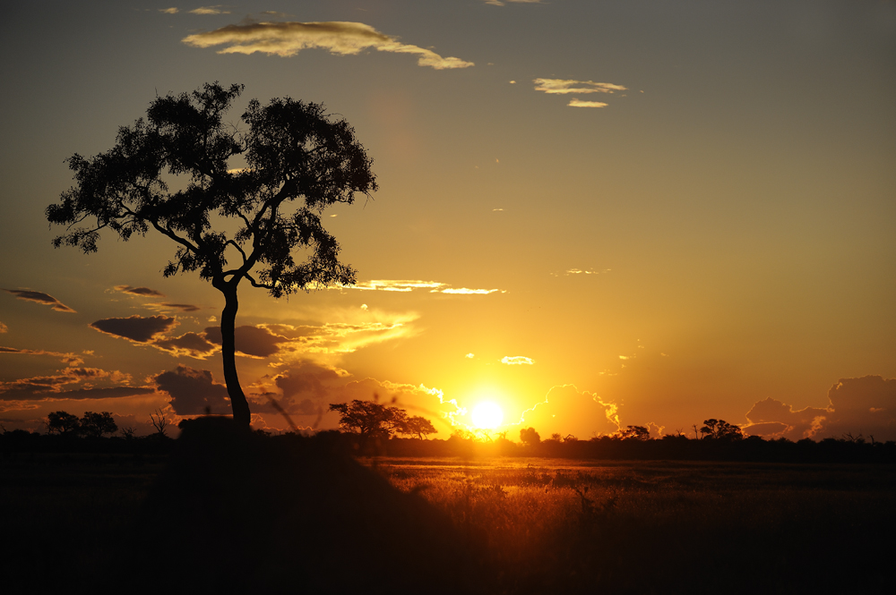 Botswana #1 - Sunset