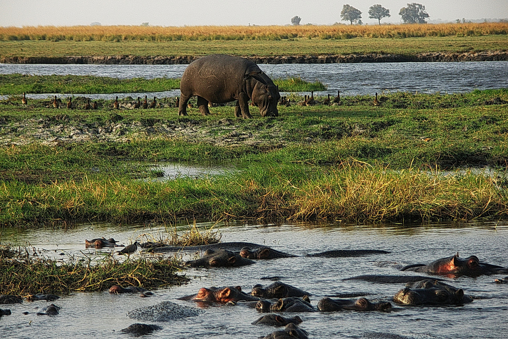 Botswana