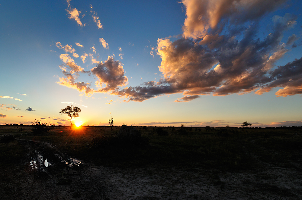 Botswana #2 - Sunset