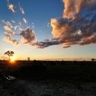 Botswana #2 - Sunset