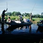 Botswana 2006, Okavango Delta