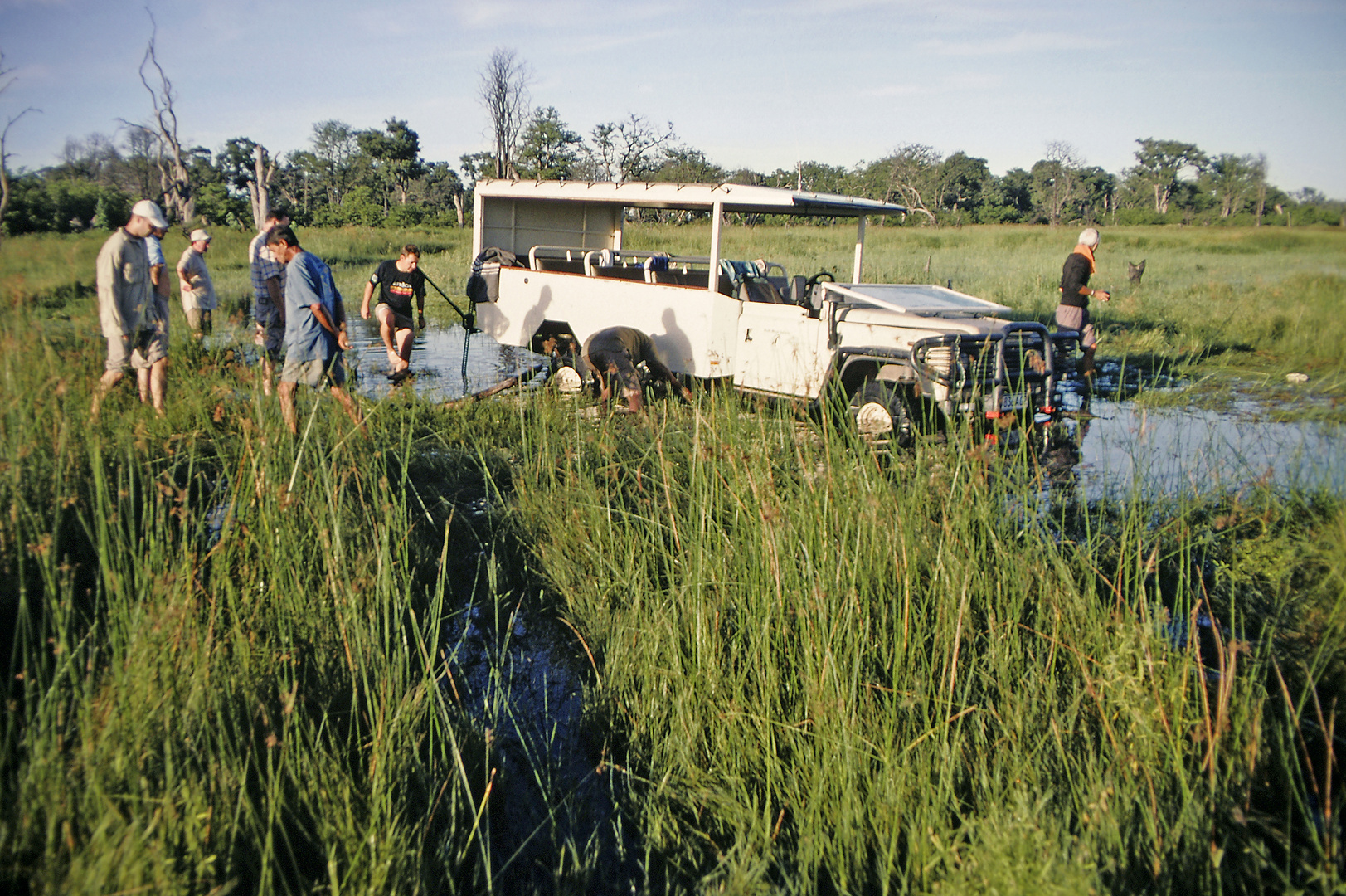 Botswana 2006, Pirschfahrt im Moremi Schutzgebiet