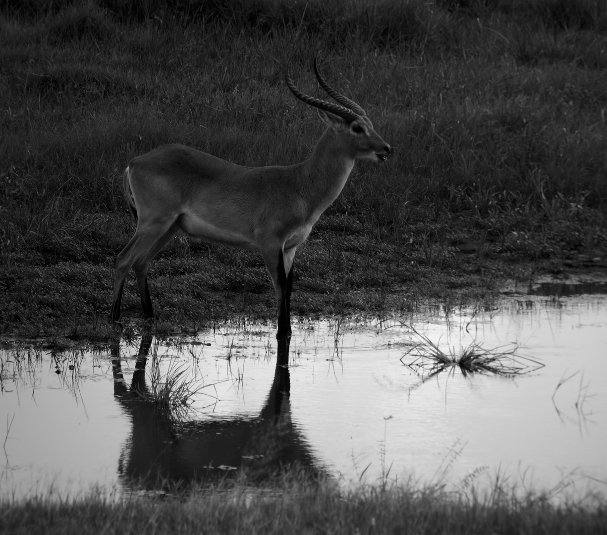 Botswana