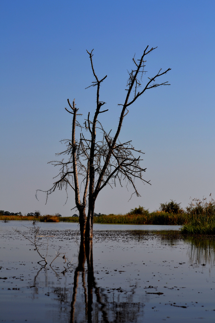 Botswana