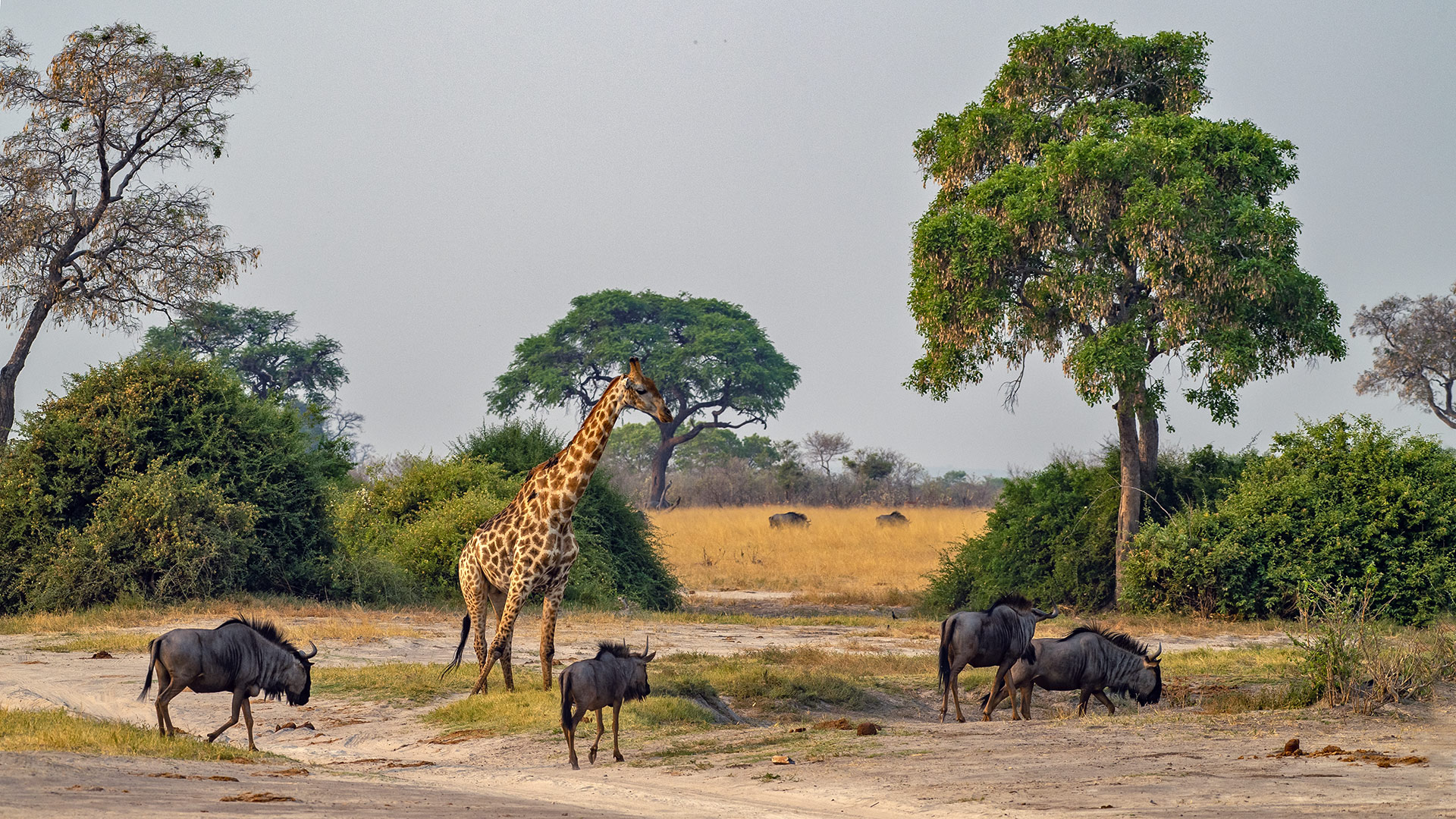 Botswana