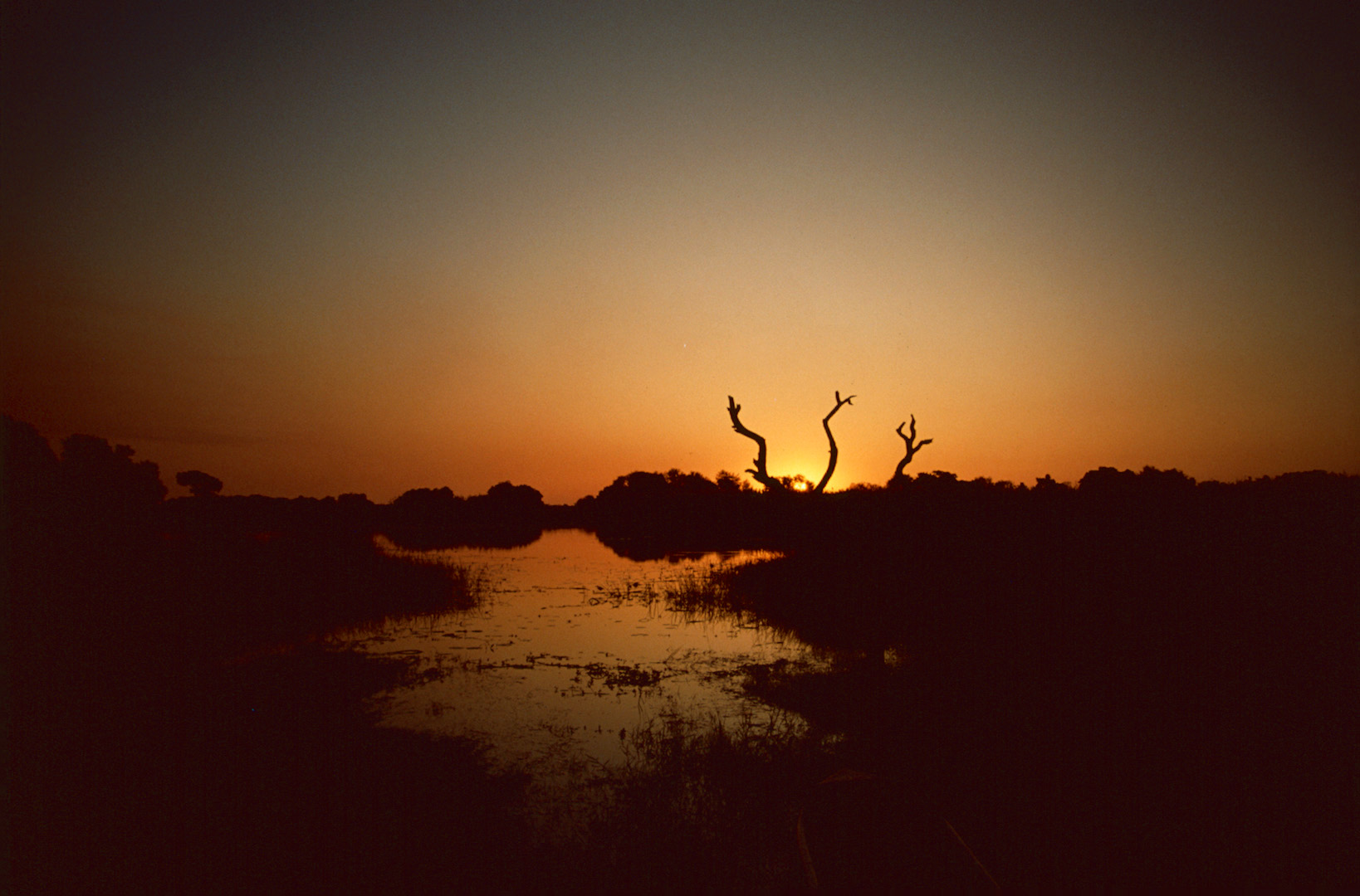 Botswana - Abendstimmung am Okavango - 1993 (1)