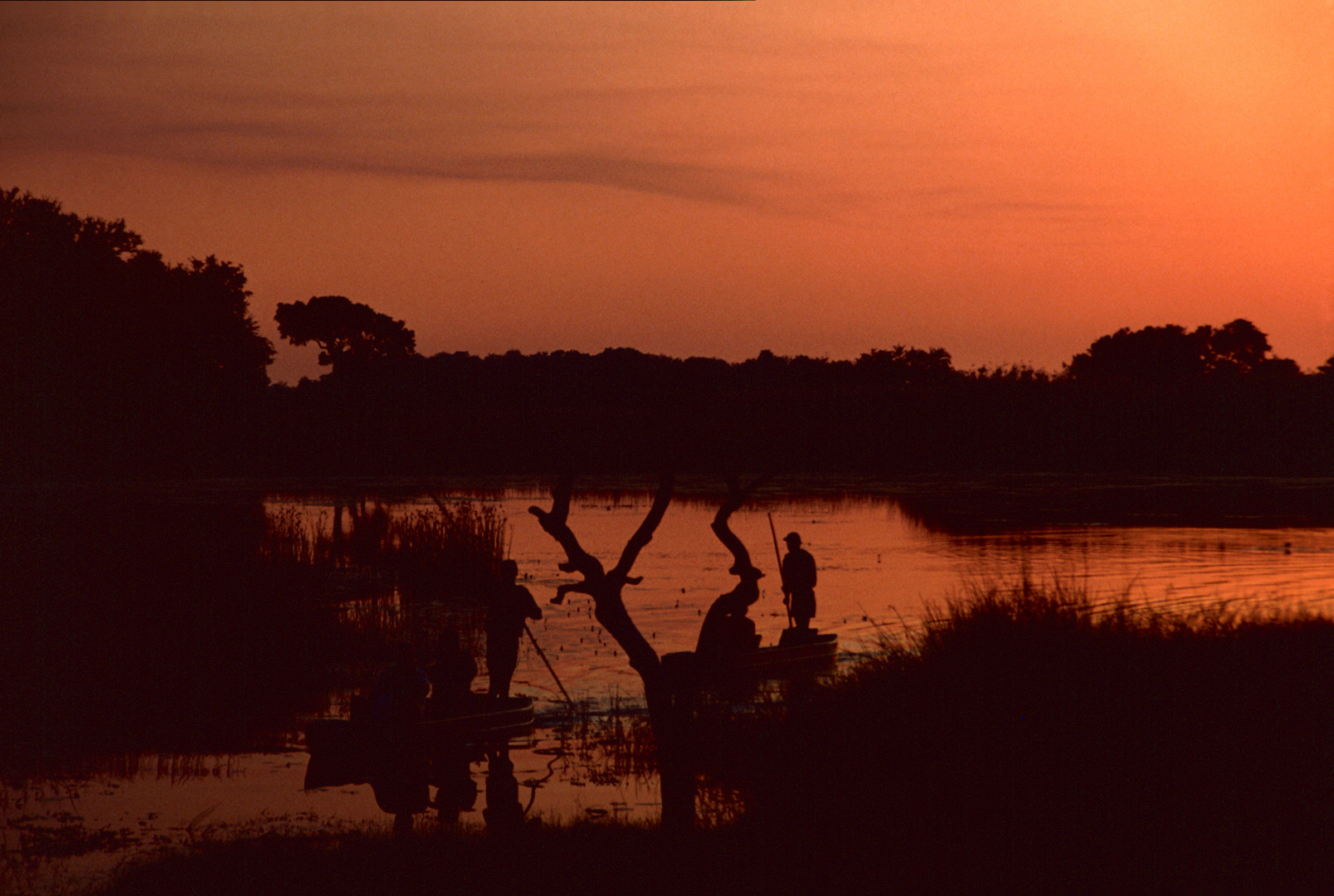 Botswana - Abendstimmung am Okavango - 1993 (2)