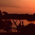 Botswana - Abendstimmung am Okavango - 1993 (2)