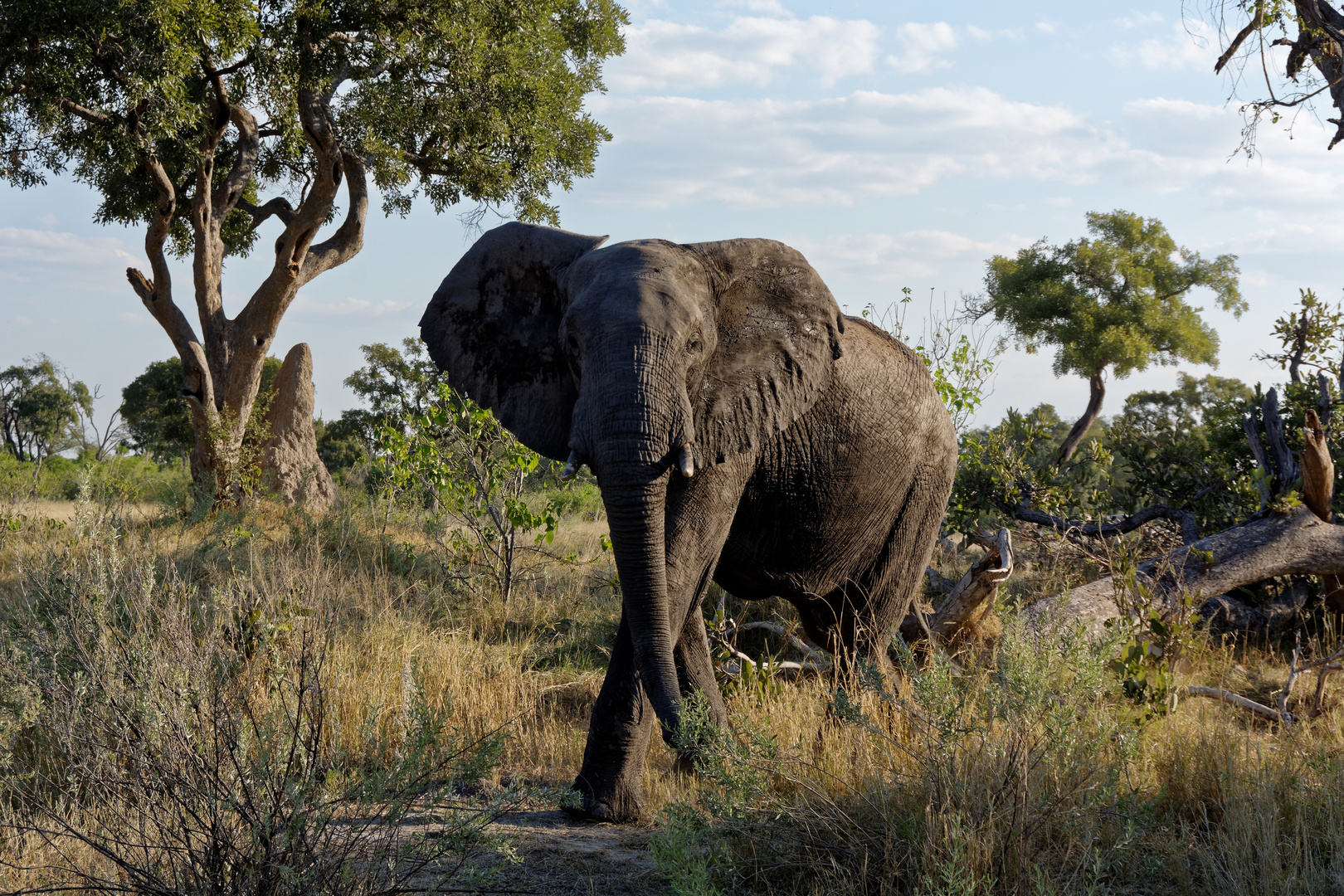 Botswana