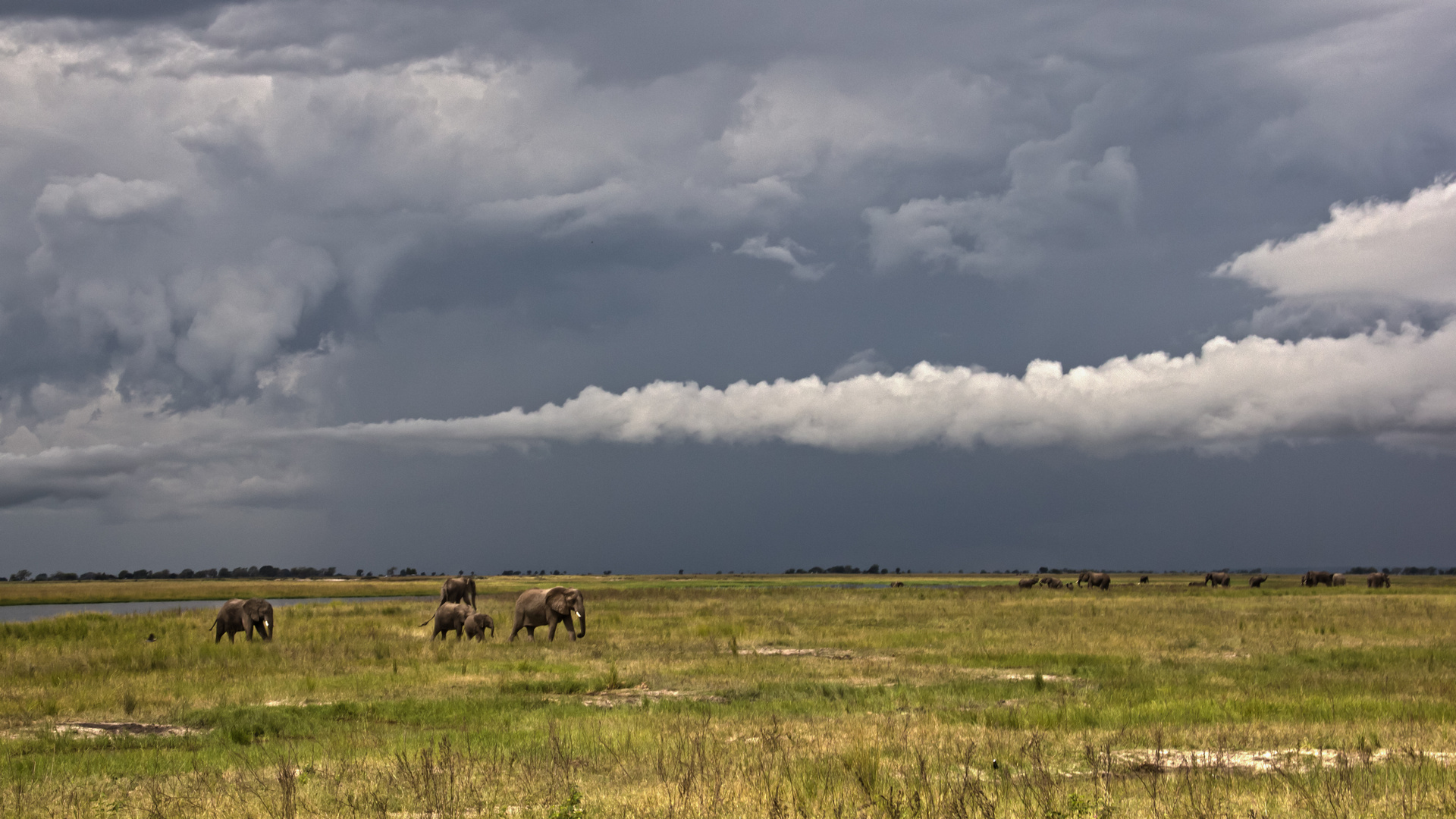 Botswana - Chobe Nationalpark (11)