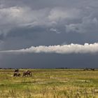 Botswana - Chobe Nationalpark (11)