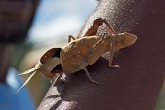 Botswana - Chobe Nationalpark (24)