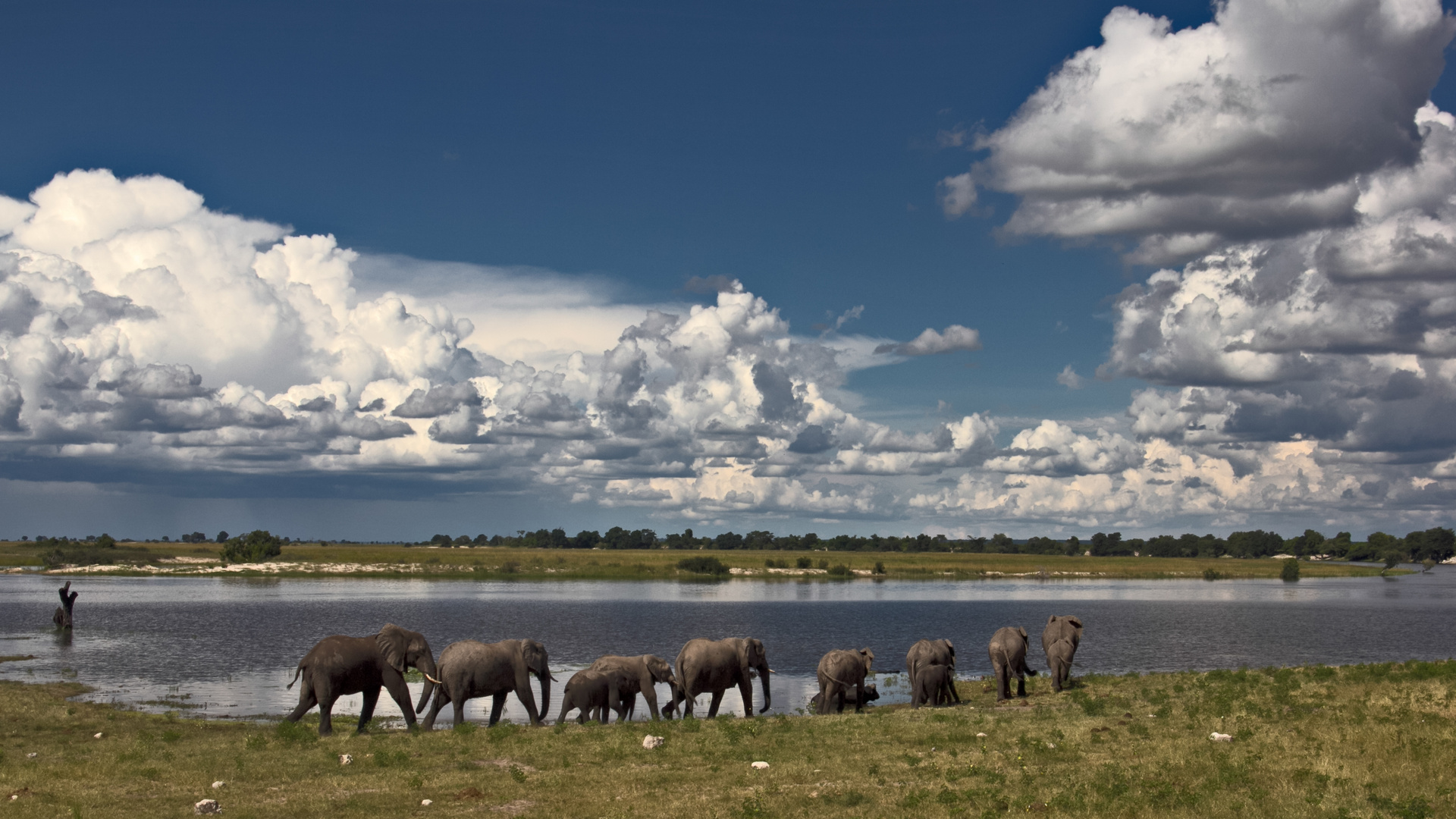 Botswana - Chobe Nationalpark (25)