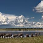 Botswana - Chobe Nationalpark (25)