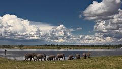 Botswana - Chobe Nationalpark (25)