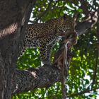 Botswana - Chobe Nationalpark (26)