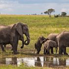 Botswana - Chobe Nationalpark (27)