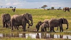 Botswana - Chobe Nationalpark (27)