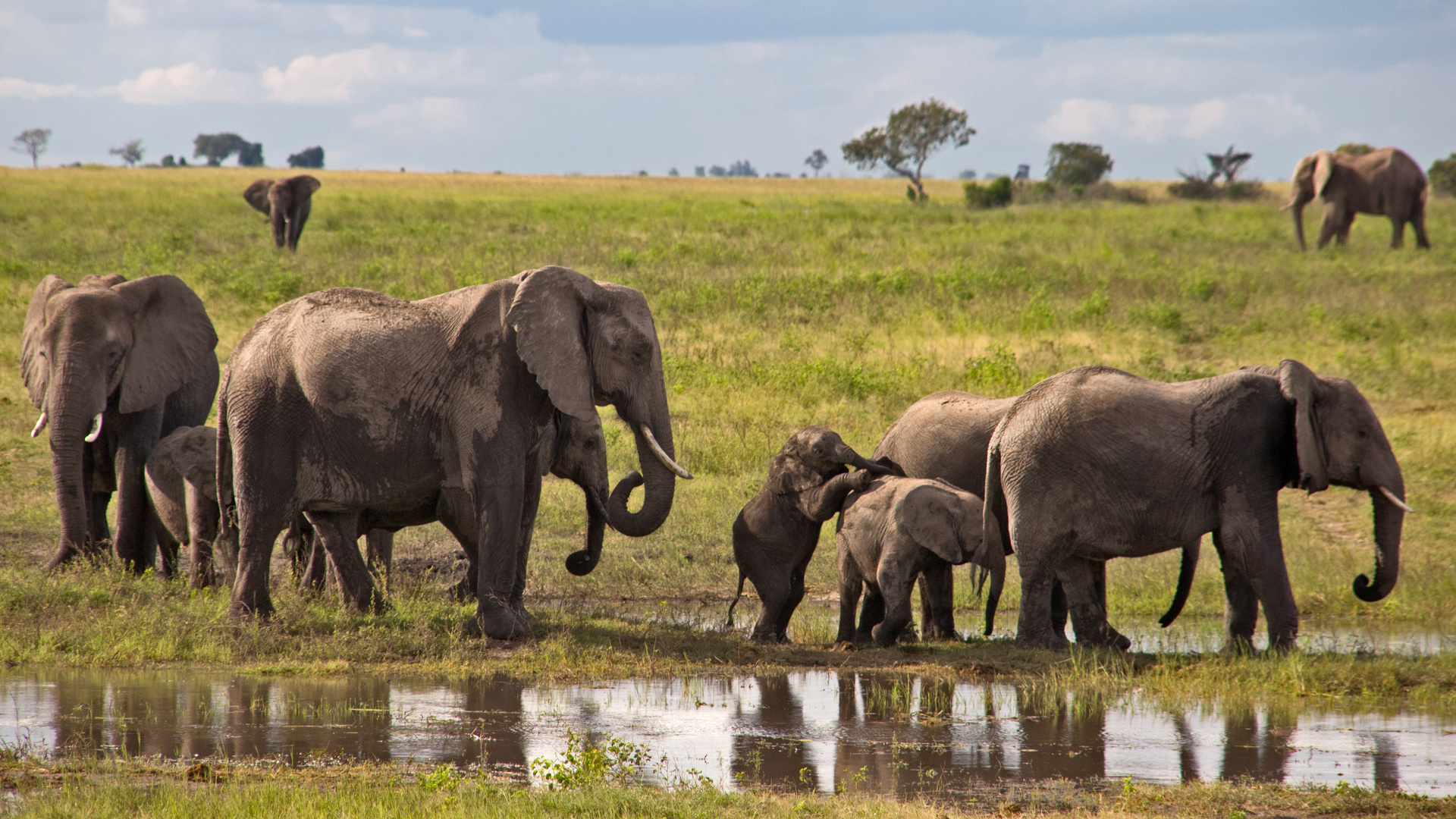 Botswana - Chobe Nationalpark (28)