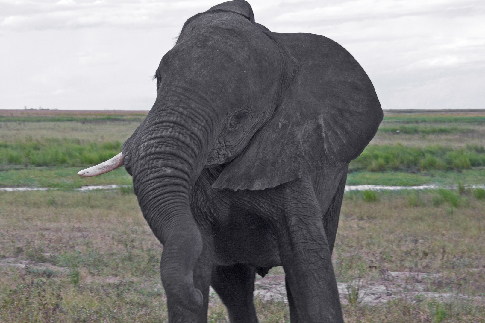 Botswana - Chobe Nationalpark (29)