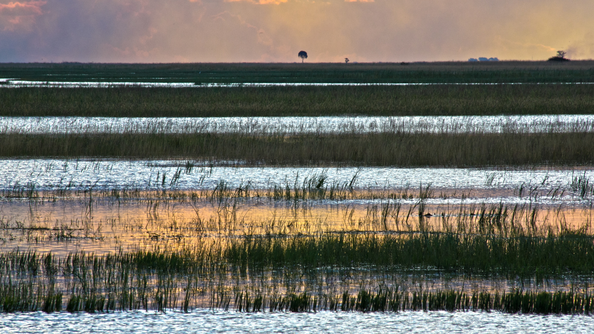 Botswana - Chobe Nationalpark (33)