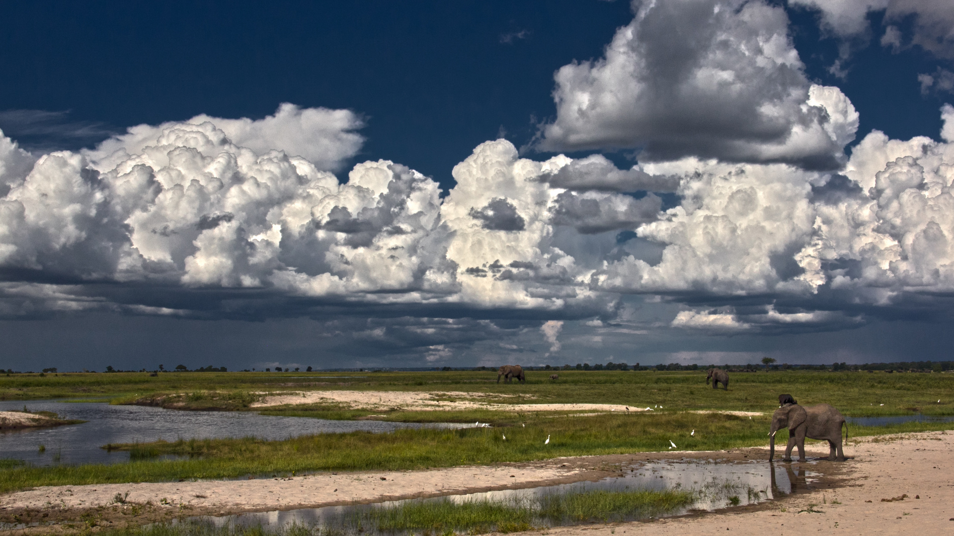 Botswana - Chobe Nationalpark (34)