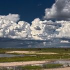 Botswana - Chobe Nationalpark (34)