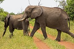 Botswana - Chobe Nationalpark (5)