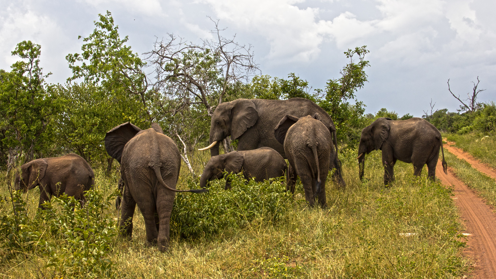 Botswana - Chobe Nationalpark (6)