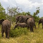 Botswana - Chobe Nationalpark (6)