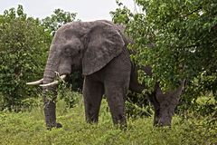 Botswana - Chobe Nationalpark (7)