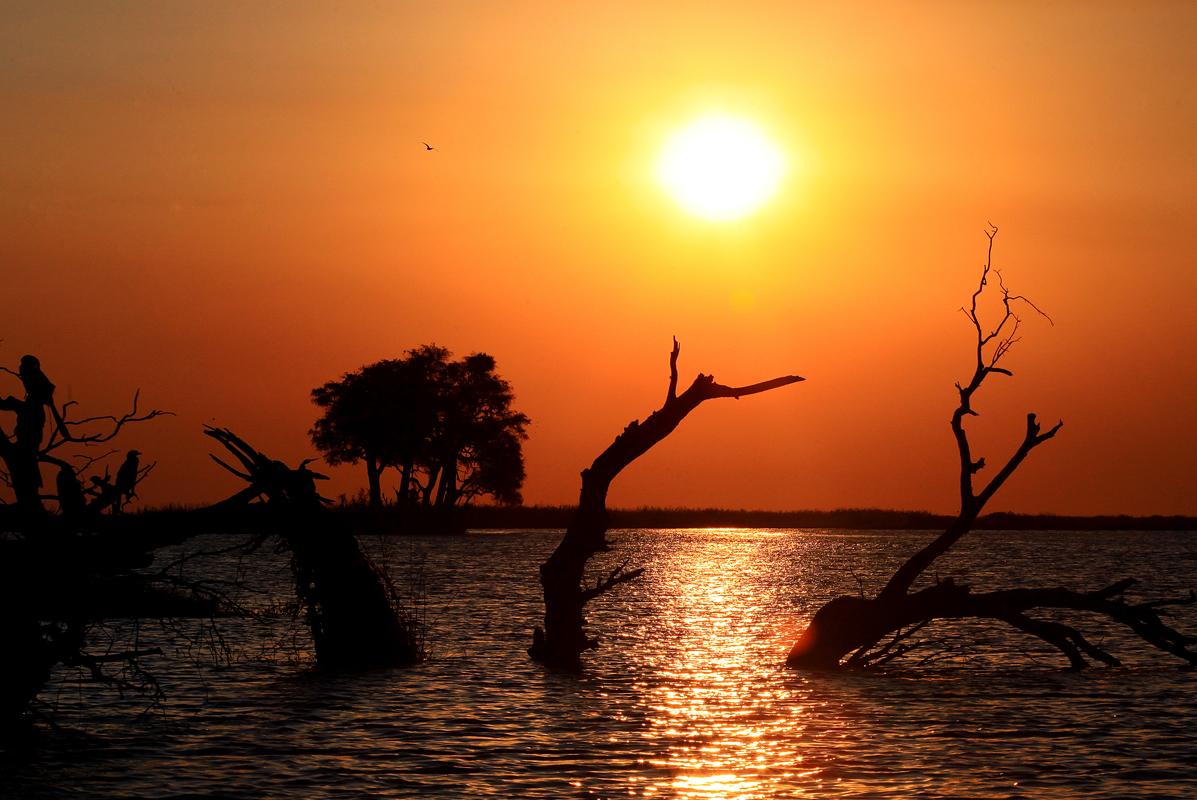 Botswana Chobe Nationalpark Sunset