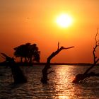 Botswana Chobe Nationalpark Sunset