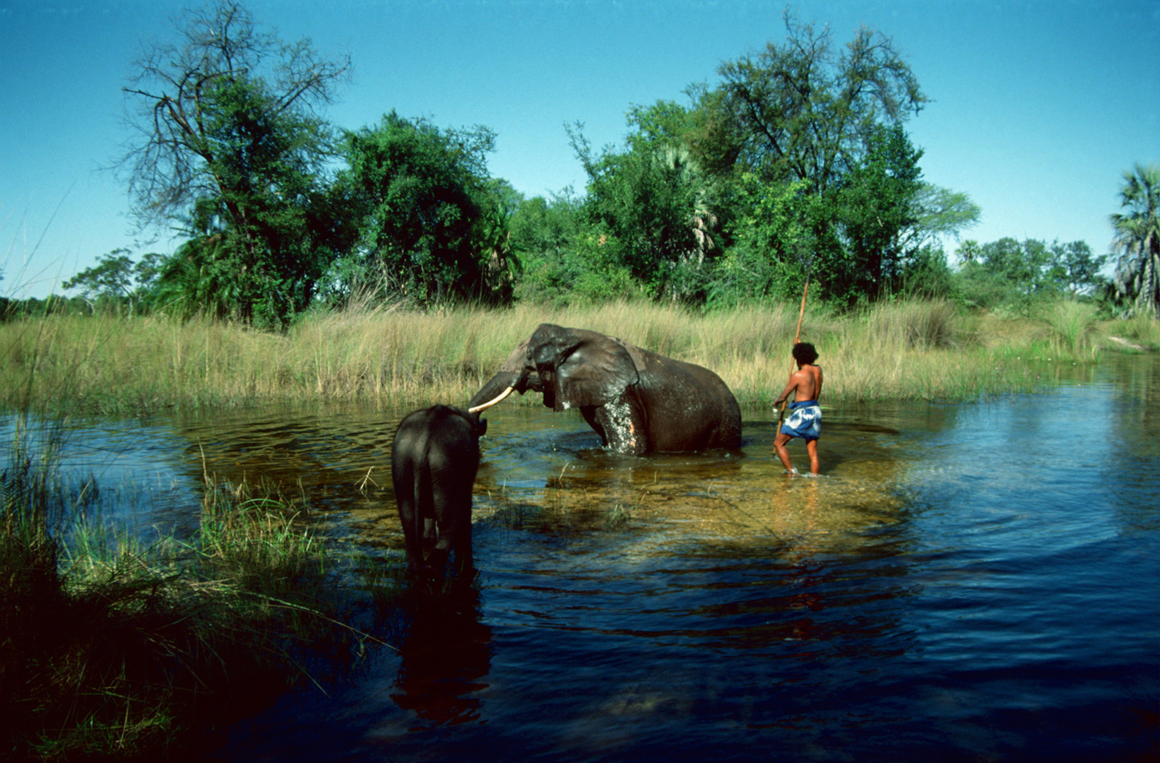 Botswana - Elefantencamp - 1993 - (2)