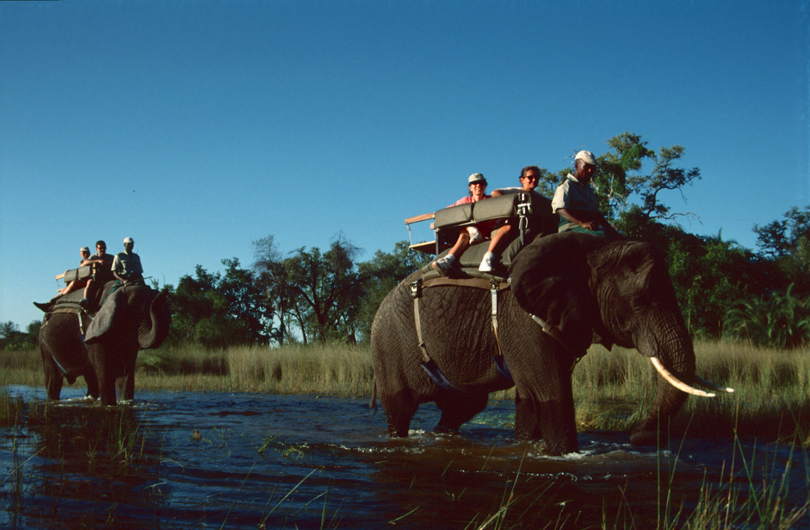 Botswana - Elefantensafari - 1993 - (2)