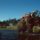 Botswana - Elefantensafari - 1993 - (2)