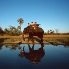 Botswana - Elefantensafari - 1993 - (5)