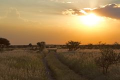 Botswana - Kalahari (1)