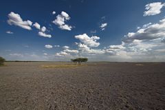 Botswana - Kalahari (15)