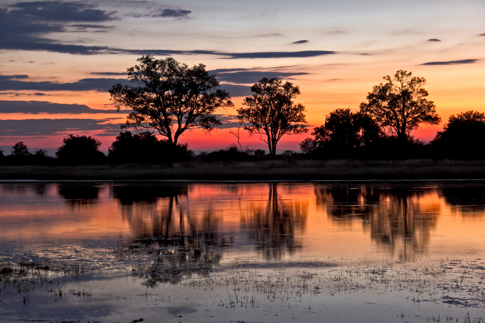 Botswana - Moremi Game Resort (10)