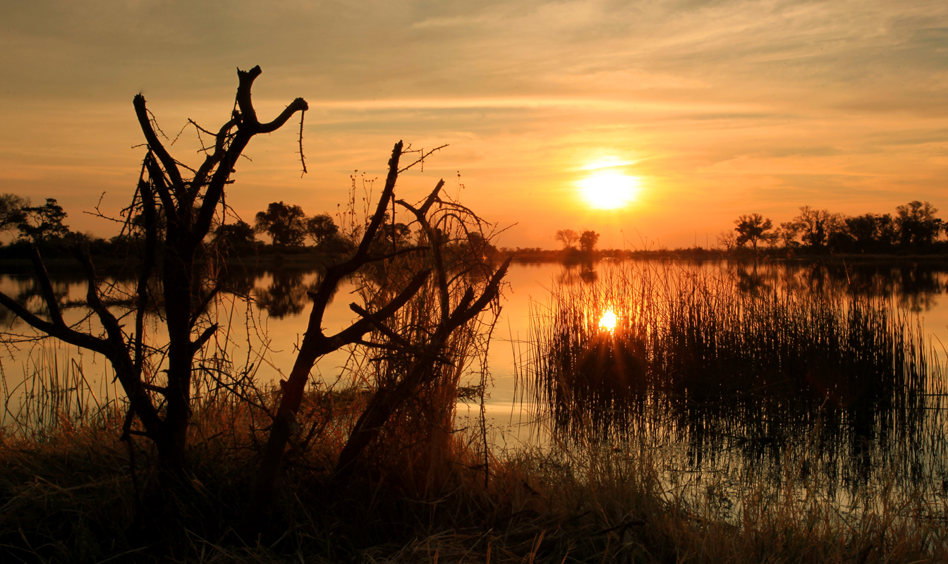 Botswana Okavango Delta