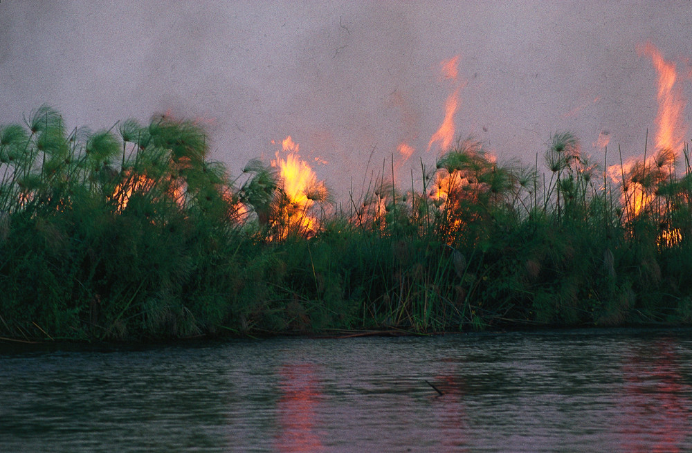 BOTSWANA Okavango Delta