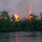 BOTSWANA Okavango Delta