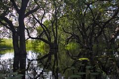 Botswana - Okavangodelta (1)