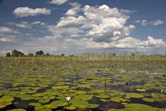 Botswana - Okavangodelta (12)