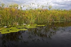 Botswana - Okavangodelta (15)