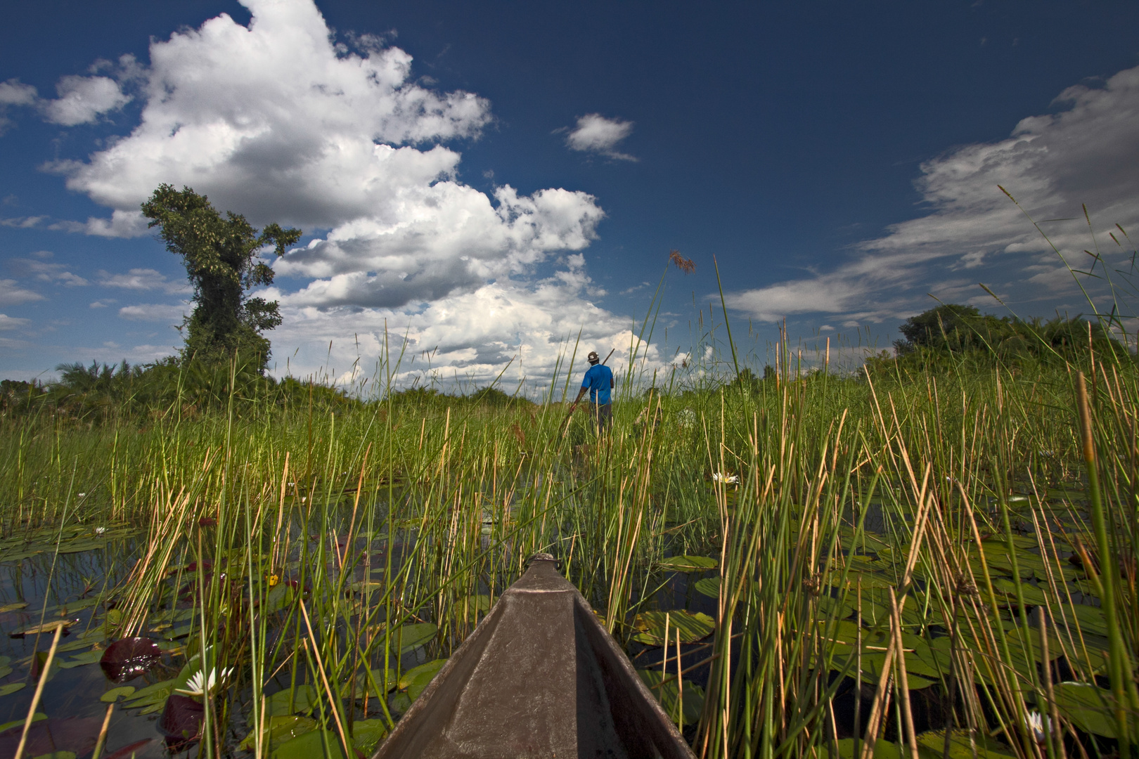 Botswana - Okavangodelta (3)