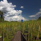 Botswana - Okavangodelta (3)