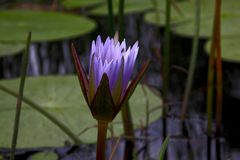 Botswana - Okavangodelta (6)